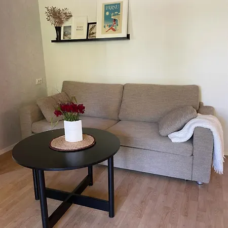 Apartment Place Near To And Parnu